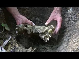 I searched for treasure under the ancient wall and dug out