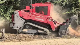 August