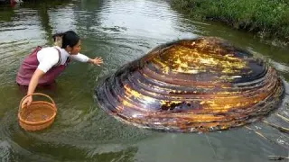 I plan to dig out all the pearls from the river but there