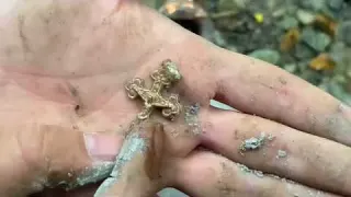 Ten Mysterious Treasures Found by Chance in Our Country