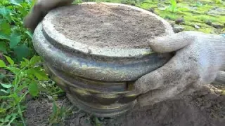 A fantastic journey of exploring treasures in the