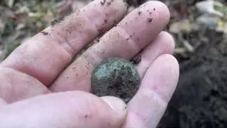 I m SPEECHLESS Metal Detecting A VIRGIN COLONIAL Site With