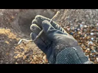 The finds just kept coming Minelab Manticore