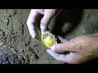 I was looking for treasure in the cave I dug up a lot of
