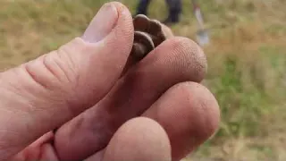 Coins of Kings and Tools of Ancients Metal Detecting