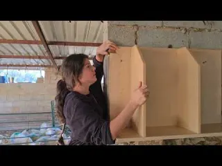 Instalando mobiliario en la cuadra del ganao a ver cómo