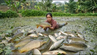 How to Catch Giant Common Carp and Grass Carp by