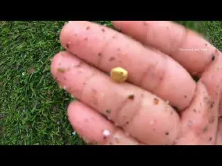 Big Gold Hidden Beneath the River Rare Treasure Found gold