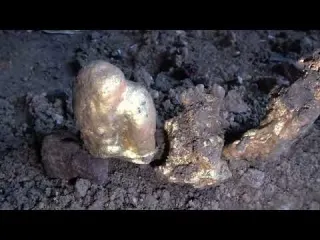 Discovered two golden treasures in the cave
