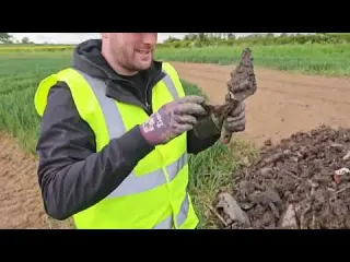 What did we find in the mud