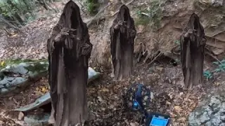 Büyük Define Hala Burada Neden Gittiler