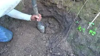 Searching for treasure in the wilderness I found some