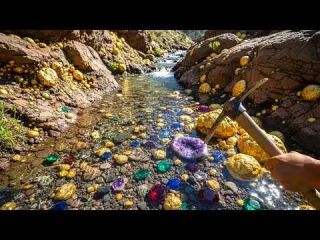 Uncovering GIANT Gold Nuggets From the Soil