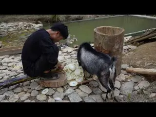 Expanding My Bushcraft Farm Finding Bamboo Shoots to Cook