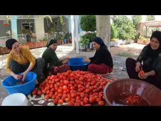 HALAM İLE YENGEM EVİNE YENİ DOMATES HASADI KIŞLIK YAPIMI