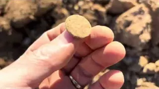 Metal Detecting A Turned Up Homesite Field