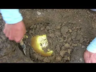 Dwarf family finds antique treasure underground happy rural