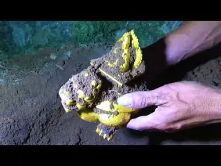 Cave treasure hunt accidentally excavating treasure buried