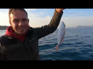 2022 En iyi 10 Balık Avı Anlarımız TOP 10 Best Fishing