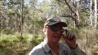 Metal Detecting a 1950s Two Up School Garrett Apex