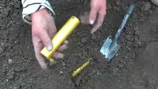 Lost Treasure Found at the Bottom of the Sea Metal