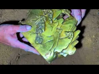 A pirate treasure discovered with a metal detector