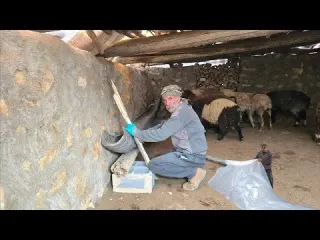 Jahangir s efforts to set up sheep pens and prepare fodder
