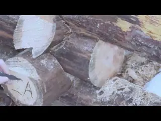 Building a Warm Log Cabin from Massive Logs The Most