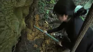 Why was this treasure buried for centuries