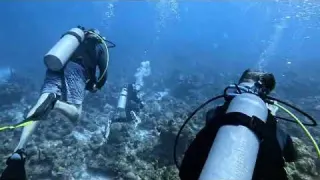 Scuba 422 29 Diving St Croix VI