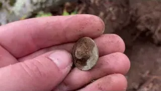 Over 300 YEARS OLD The OLDEST Colonial Relics And COINS Can