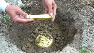 The journey of treasure hunting reveals the joy of