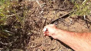 The Golden Phoenix Ghost Town Metal Detecting