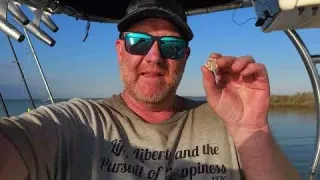 Permission Granted to Treasure Hunt a Private Island