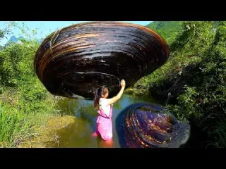 There are big river clams both before and after I can t