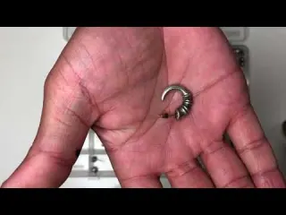 Mostrando achados da praia Metal detector 金属探知機