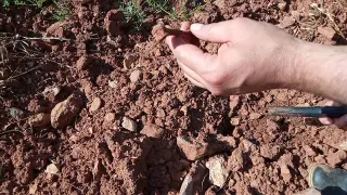 Dedektör İle Zeytin Bahçesinde Define Kalıntıları Arıyorum