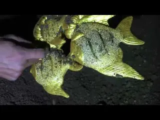 A sewing machine made of pure gold was accidentally
