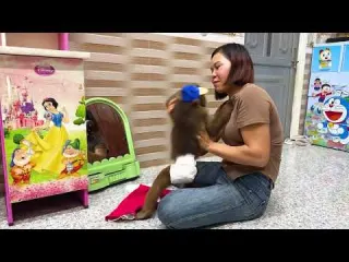 YEN NHI CUTIS Get Curious About Mom s Unexpected Phone Call
