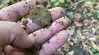 Am I DREAMING 1700s Homestead Is ALL LIT UP Metal Detecting