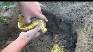 I found a million year old Golden Chicken and egg in the