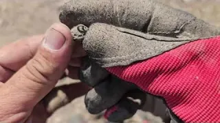 Entre RUINAS y Mezquites Encontré la PLATA de una Antigua