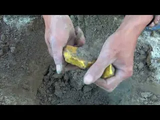 Find treasure in the wild and find pure gold to create