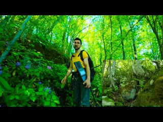Define İşareti Bize Eşkıya Definesini Verdi