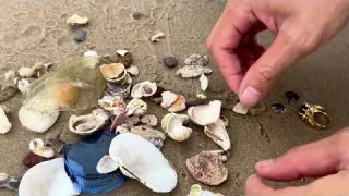 100 Days Finding Secret Ocean Treasures Unearthing Red Dial