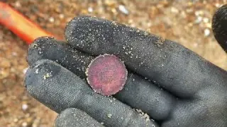 First BEACH hunt with the Manticorblimey