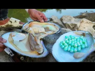 The girl uncovered a huge mussel and gasped at shiny
