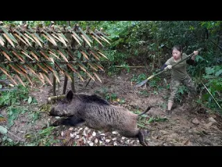 200 days of survival in the wild wild boar trapping skills