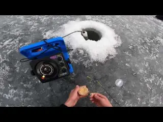 The Most INCREDIBLE Crappie Fishing We ve Ever Seen