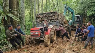 Excavators and numerous workers rescued a tractor carrying